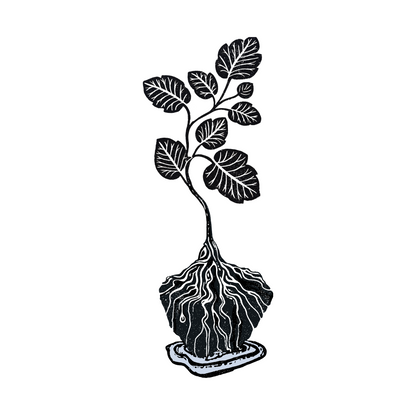 Water Me Icon, Plant in Water
